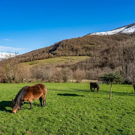 Valle De Bueida El Bosque Hétvégi ház