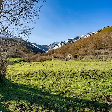 Valle De Bueida El Bosque Bucida
